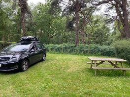 Lovely pitch near the woods with a picnic bench for us to use!