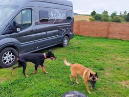 Camper steht im eigenen hundebereich