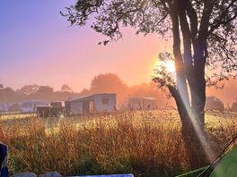Sunrise