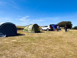 Grass pitches