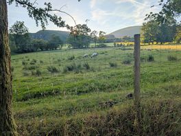 Field next to camping