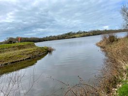 Lower tamar lake
