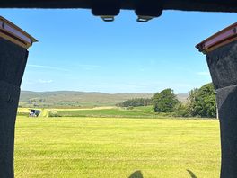 Morning views