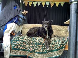 Very dog friendly, even in the clubhouse for breakfast