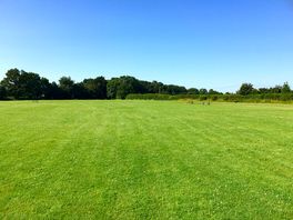 Grassy camping area