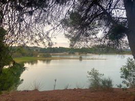 Early morning at the lake