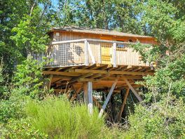Treehouse