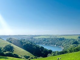 Noss mayo