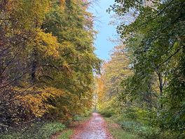 The walk to the castle
