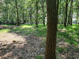 Stoke poges wild camping