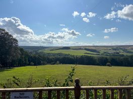 View from larch pod