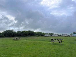 None electric pitches