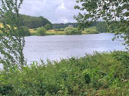River tweed