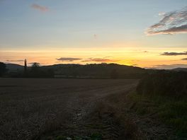 Sunsetting over campsite