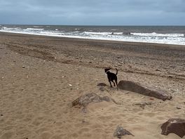 Beach you can walk along to hornsea. approx 3 miles / 1 hour each way. check tide times !
