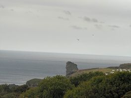 View from the tent