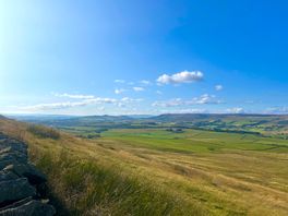 Beautiful view