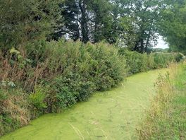 A lovely walk from camp