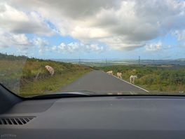 Drive up to the site