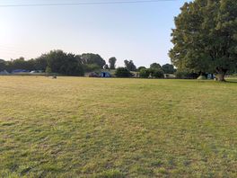 View of the field