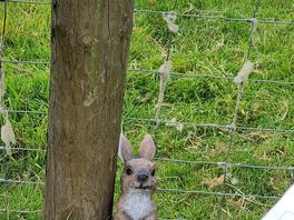 Baby on the hunt