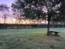 Early morning