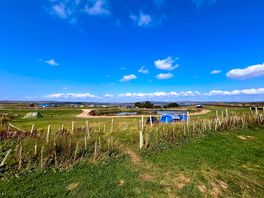 Campsite