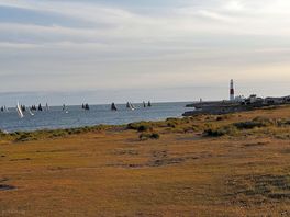 Sailboats