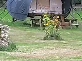 One of the on site camping pods