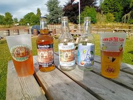 Joy's of being on a cider farm not to far to walk to bed