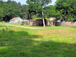 Shady areas