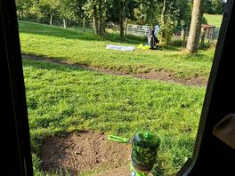 Glamping view from doors