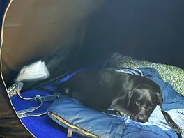 Time for bed, well if i could get in there.