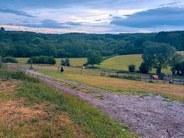 Forrest view