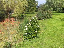 Pond