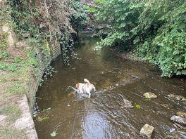 Lacock stream