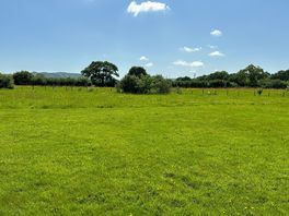 Lovely green views all around