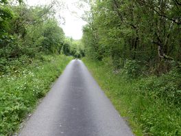 Beautiful countryside