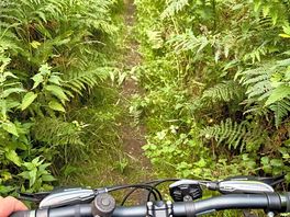 Don’t do the pingo trail. too overgrown!