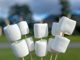 Toasting marshmallows