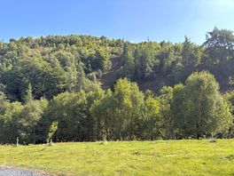 The view!