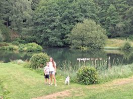 Lake view