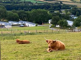 Our neighbours!