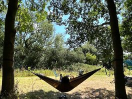 Hammock