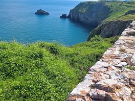 Berry head national nature reserve