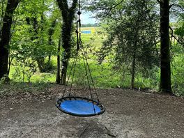 Tree swing