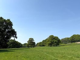 View from the tent