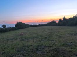 Beautiful sunset in the dog field