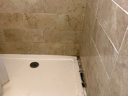 Ladies shower