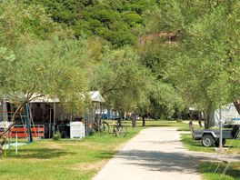Tree-shaded site